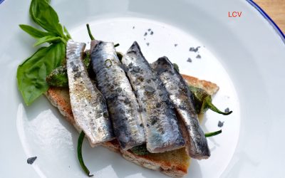 SARDINAS ASADAS SIN BRASAS