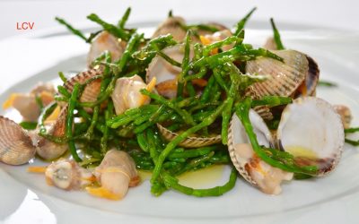 SALICORNIA & BERBERECHOS