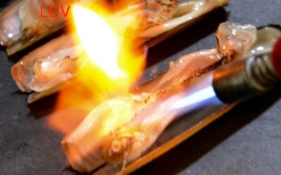 ARMAS BLANCAS Y ARMA DE FUEGO