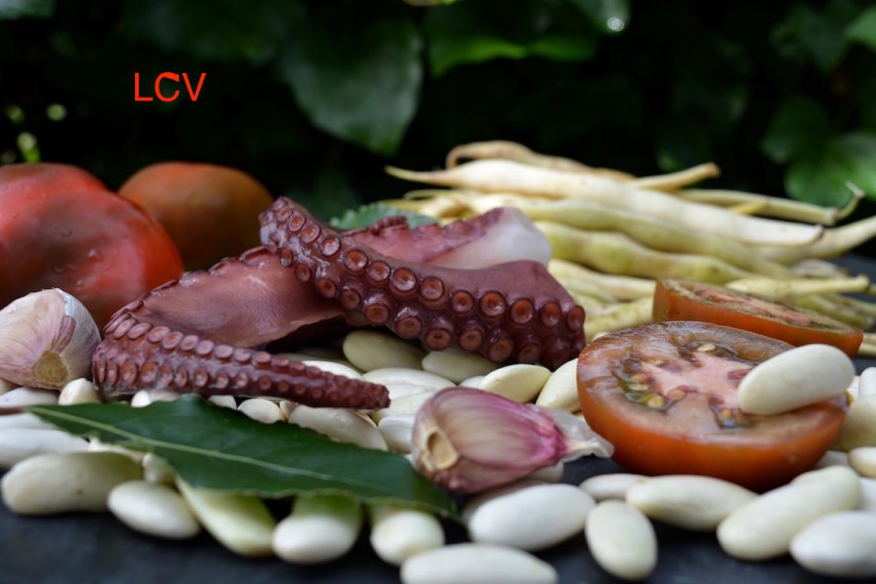 fabas-con-pulpo-1