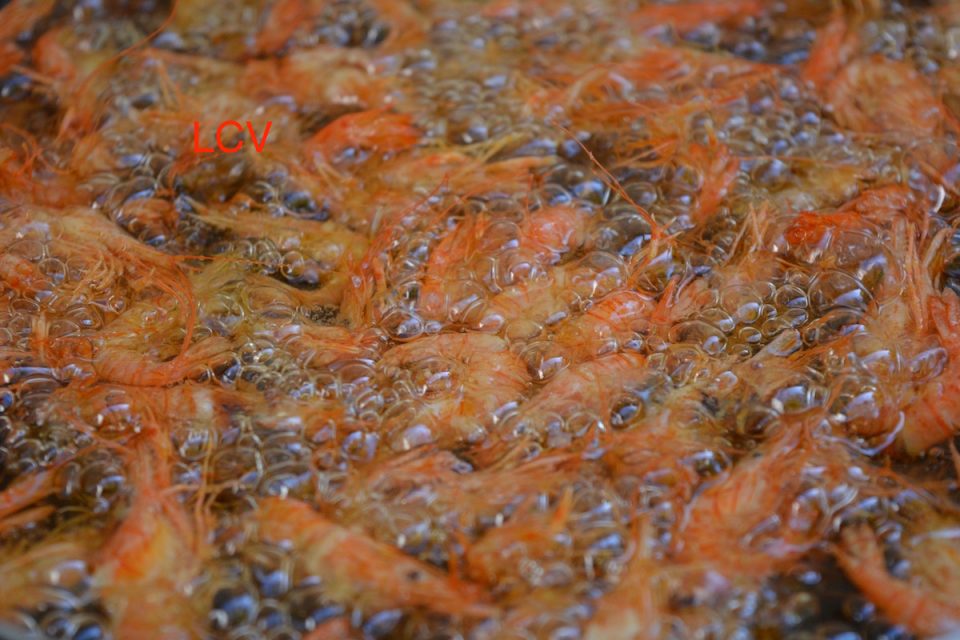 fritura-de-camaron-2