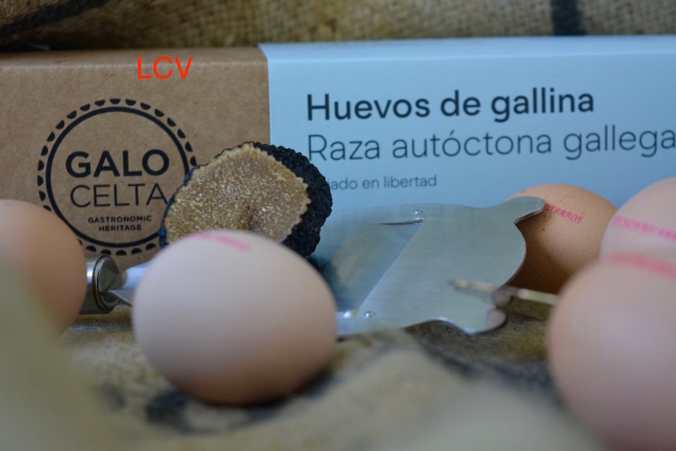 huevo-galo-celta-y-trufa-1
