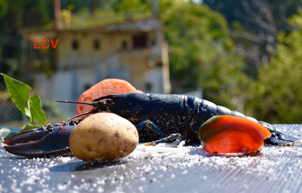 lubrigante-con-patatas-1