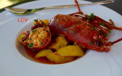 LUBRIGANTE CON PATATAS