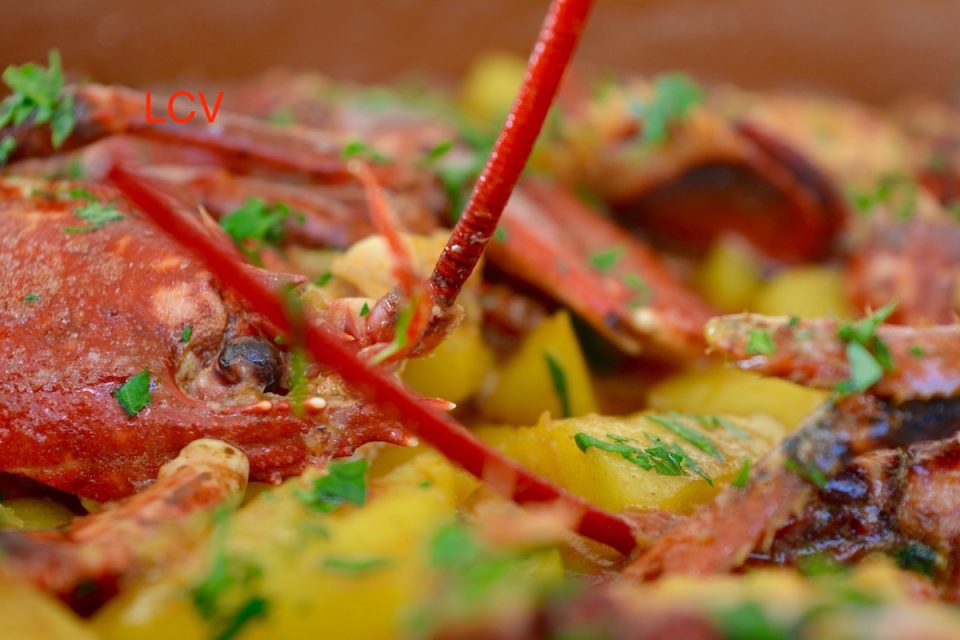 lubrigante-con-patatas-5