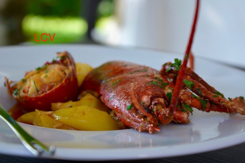 lubrigante-con-patatas-6