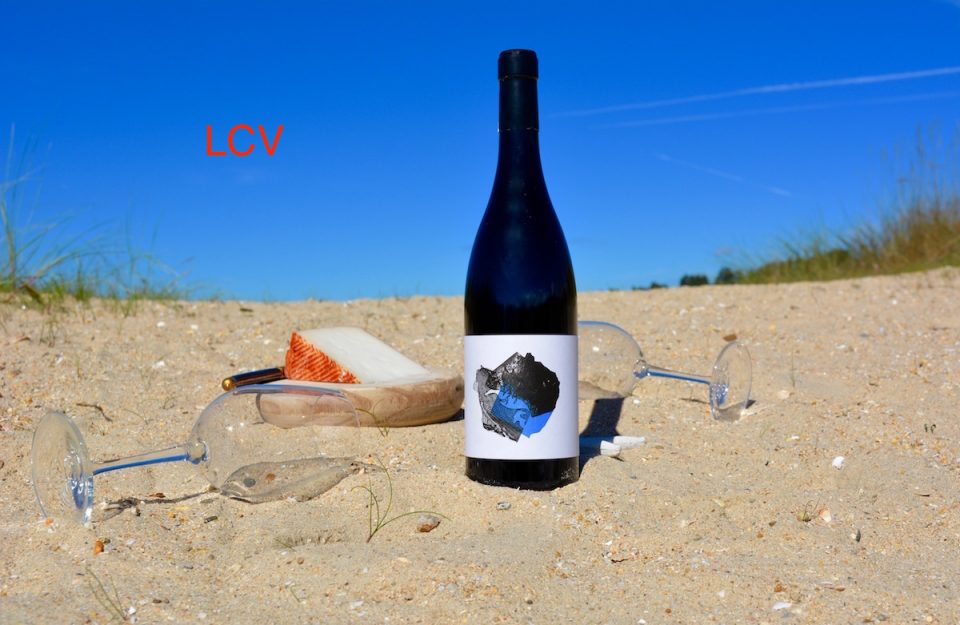 vino-ignios-3