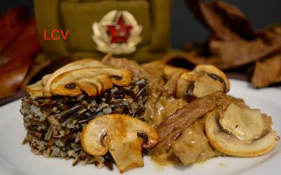 ¿STROGONOFF O STRÓGANOV?