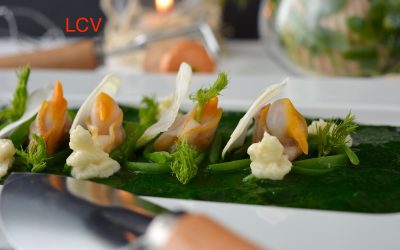 FONDO DE LA RÍA DE NOIA