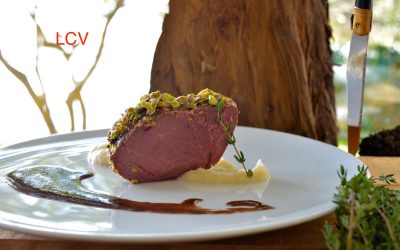 CIERVO DEL PALEOLÍTICO