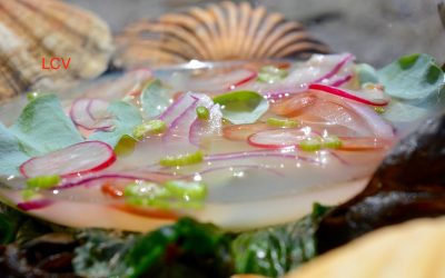 CEVICHE DE VIEIRA