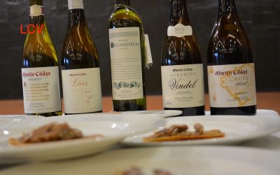 SHOWCOOKING-MARTÍN CODAX