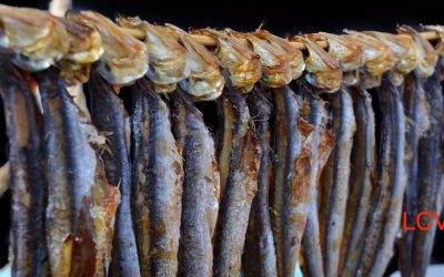 EL ESPETO, PATRIMONIO DE LA UNESCO