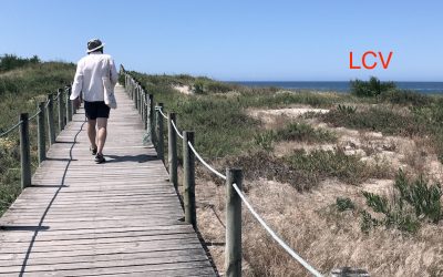 CAMINHA EN TODOS LOS SENTIDOS