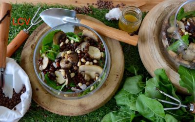 ENSALADA DE LENTEJAS Y SETAS (OTOÑO)
