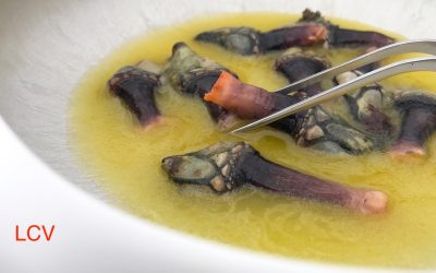 PERCEBES EN ESCABECHE