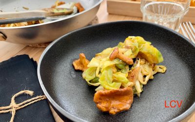 REPOLLO & REBOZUELOS