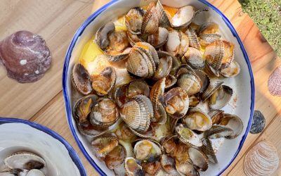 BERBERECHOS A LA GALLEGA
